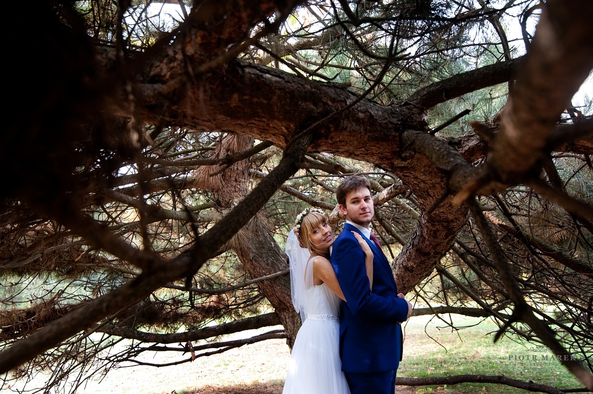 fotografia ślubna katowice - W zaciszu drzew